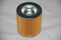 Acty_Air_Filter_Canister_Type.jpg