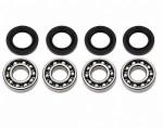 Subaru_Sambar_Rear_Axle_Bearing_Complete_Set.jpg